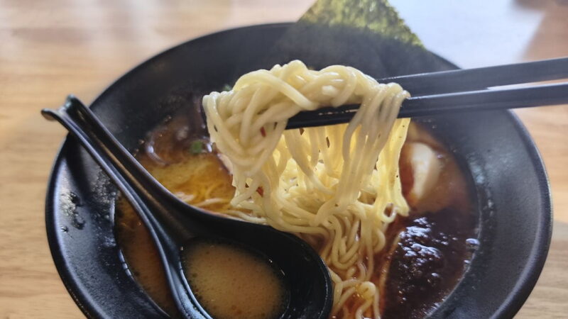 Kyuyo Ramenの麺