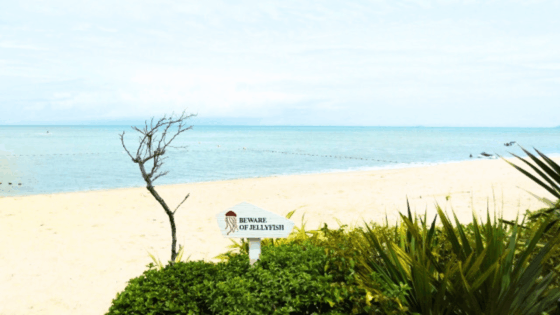 Batu Ferringhi Beach